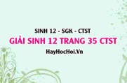 Giải Sinh 12 trang 35 Chân trời sáng tạo SGK